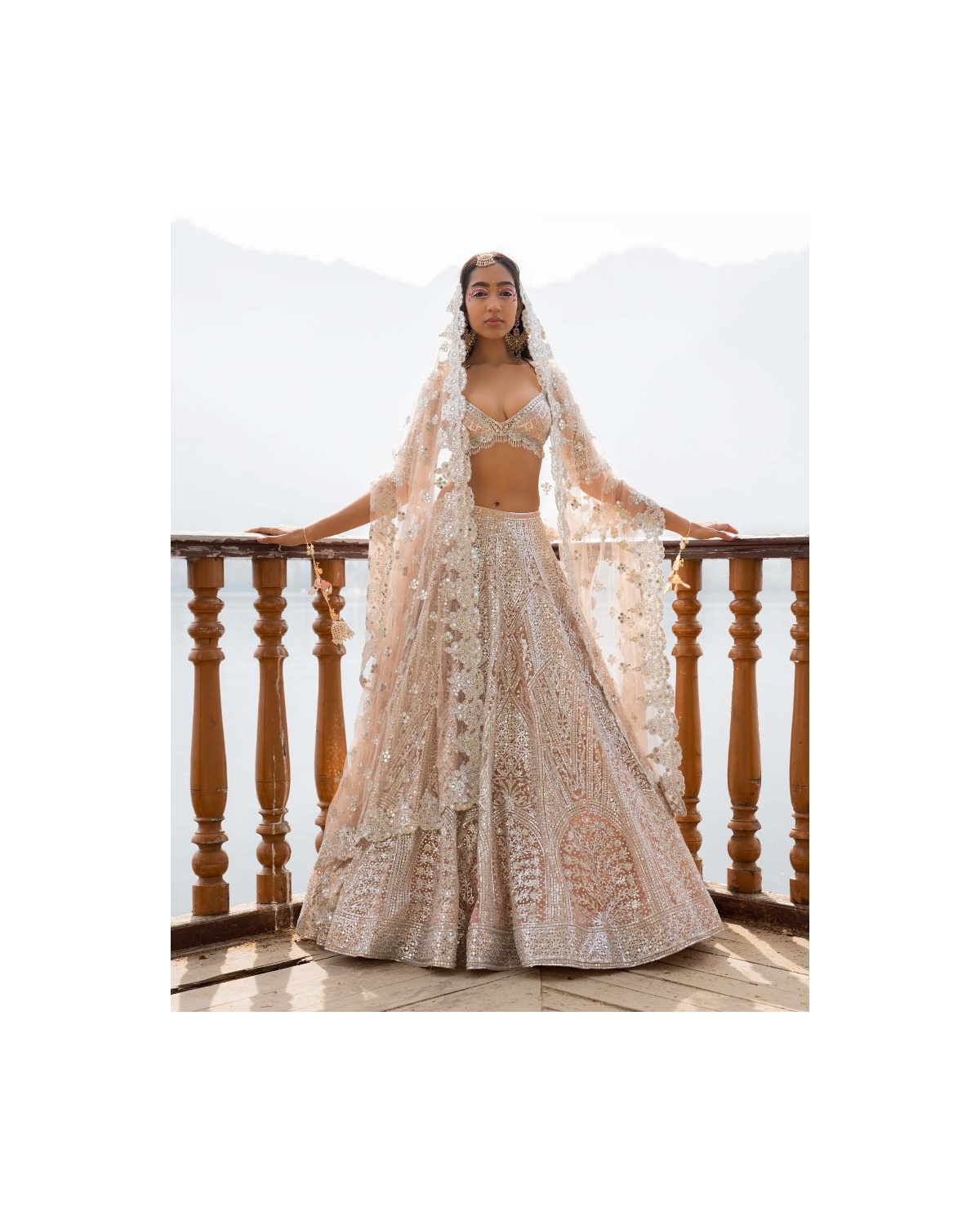 Anika Light Mocha Lehenga Set With Traditional Motifs