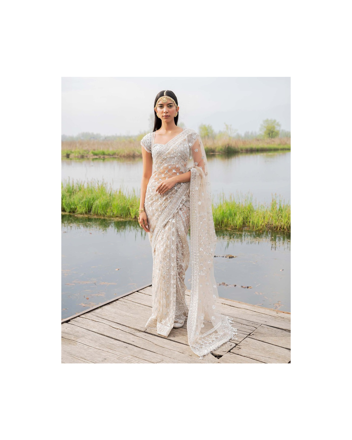 Clementine Beige Silver Saree with Crystal Sequin Work Embellished
