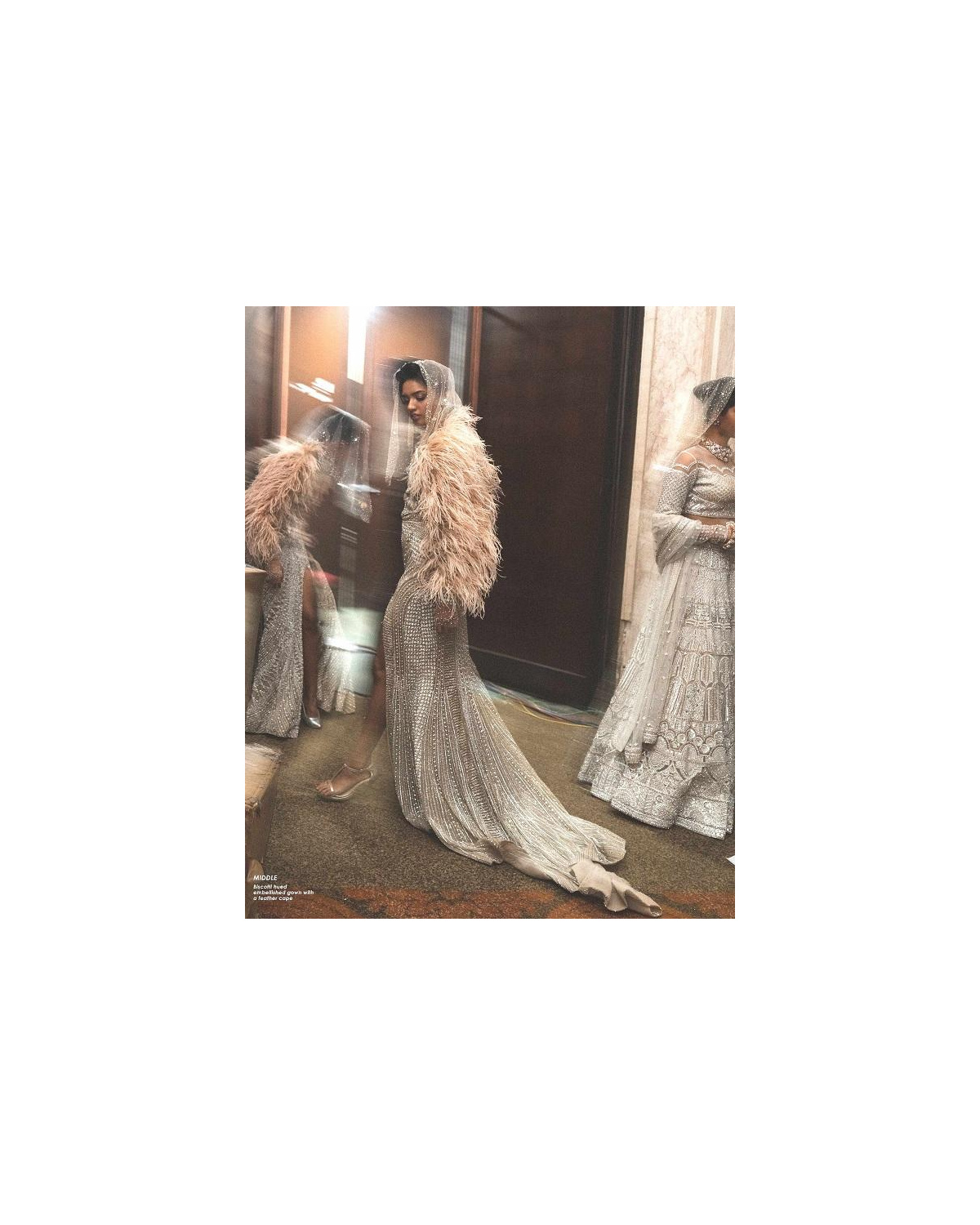 Shayla Chrome Applique Feather Long Gown