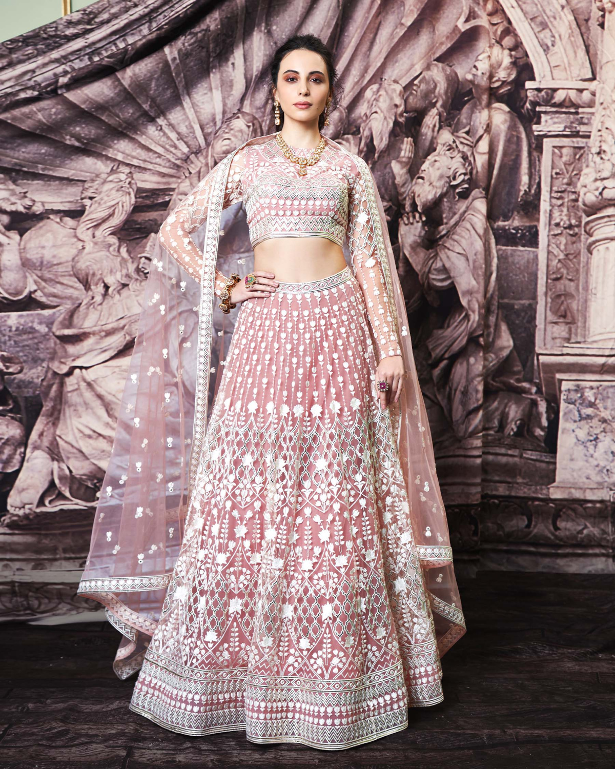 Jenna Blush Tulle Lehenga Set With Light Gold