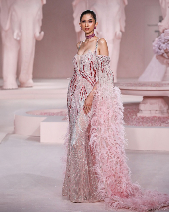 Sage Pink Fitted Gown with Silver Embroidery & Embellished Feather Sleeves