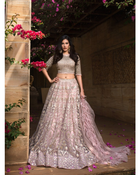 Amyra Embroidered Foil Work Lehenga Set