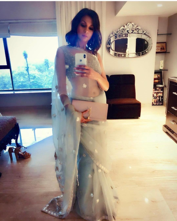 Anjula Acharia In Saree