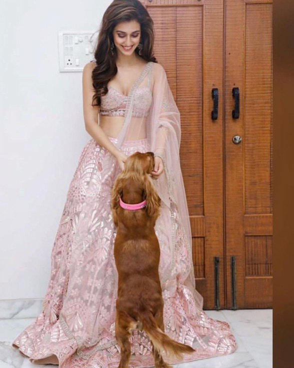 Disha Patani Pink Lehenga Set