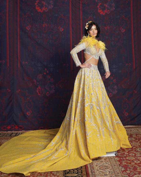 Paris Yellow Trail Lehenga Set With A Feathered Blouse