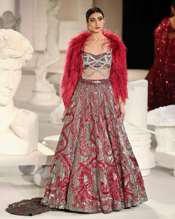 Macy Lehenga Set Silver Red Intricate Foliage Bird Motifs