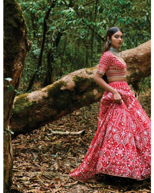 Red-based, pink Lehenga with a cropped blouse