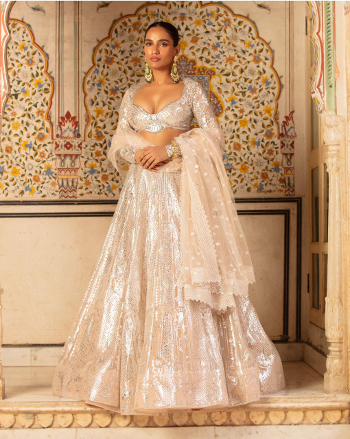 Beautifully detailed Silver Bridal Lehenga | Indian wedding wear, Prom  dress inspiration, Latest bridal lehenga designs