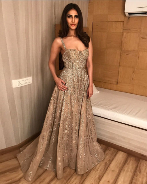 Vaani Kapoor Chrome Applique Gown