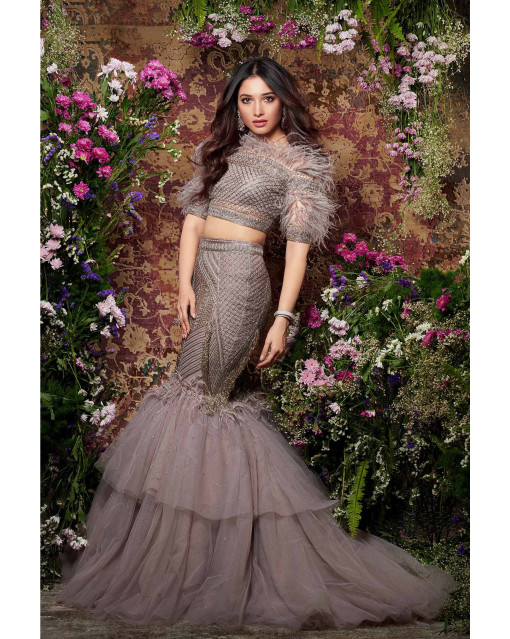 Tamannaah Bhatia Grey Embroider Gown With Feather