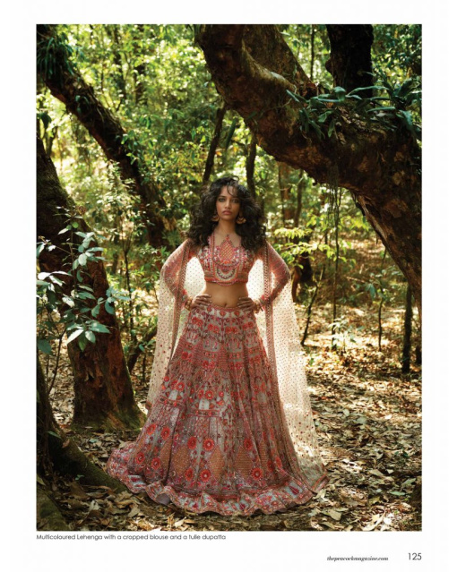 Multicoloured Lehenga with a cropped blouse and a tulle dupatta