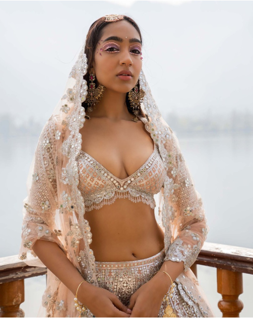 Anika Light Mocha Lehenga Set With Traditional Motifs