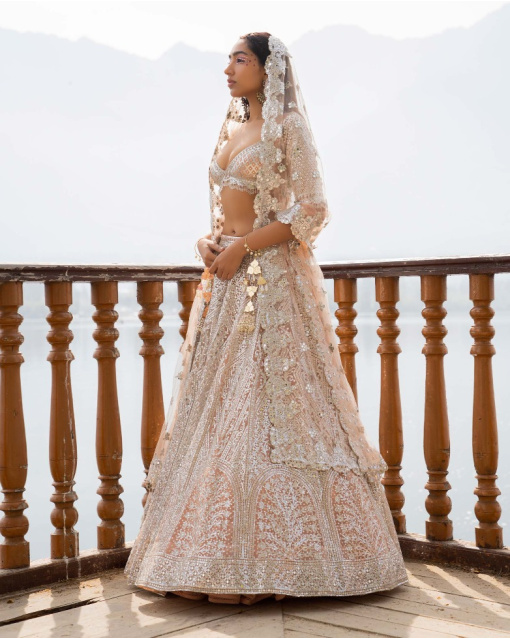 Anika Light Mocha Lehenga Set With Traditional Motifs