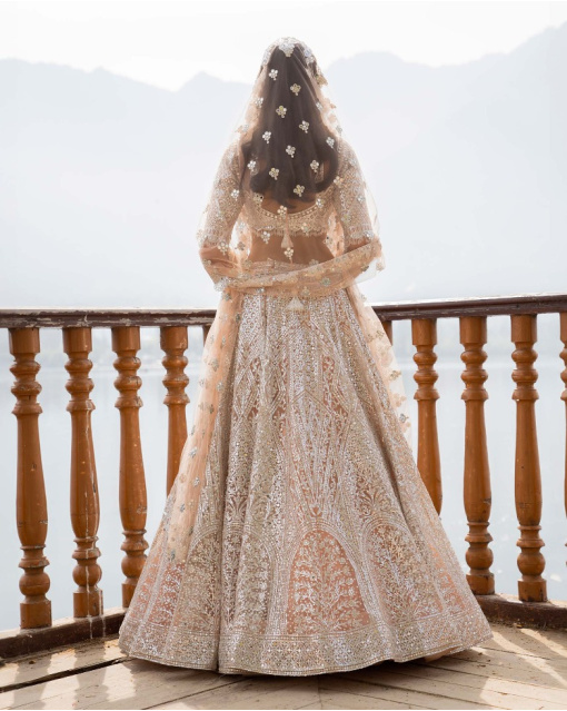 Anika Light Mocha Lehenga Set With Traditional Motifs