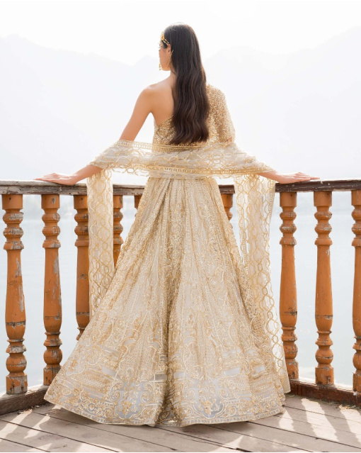 Amia Light Sage Green Lehenga Set With Golden Chrome Applique