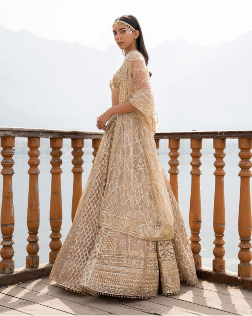 Ally Light Beige Lehenga Set With Geometric Motifs