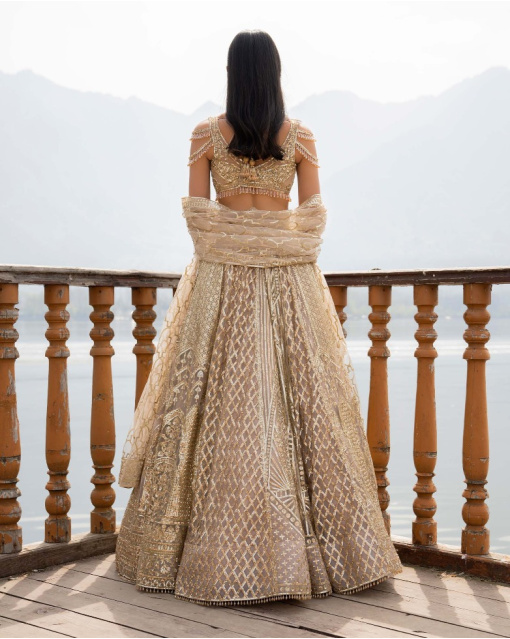 Ally Light Beige Lehenga Set With Geometric Motifs