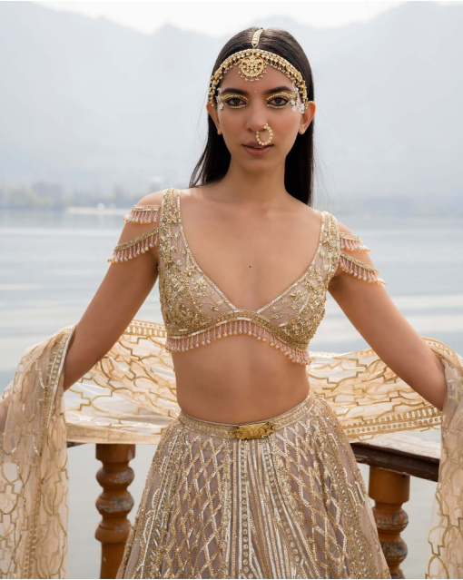 Ally Light Beige Lehenga Set With Geometric Motifs