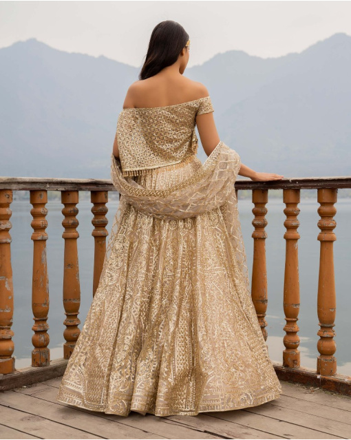 Alissa Beige Lehenga Set With Golden Chrome Applique