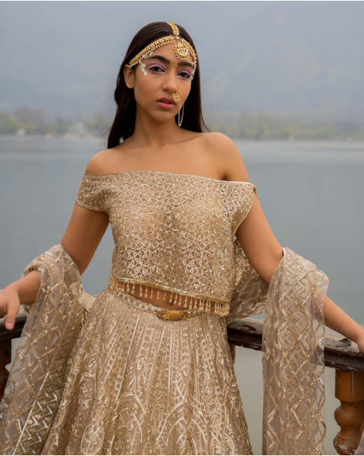 Alissa Beige Lehenga Set With Golden Chrome Applique