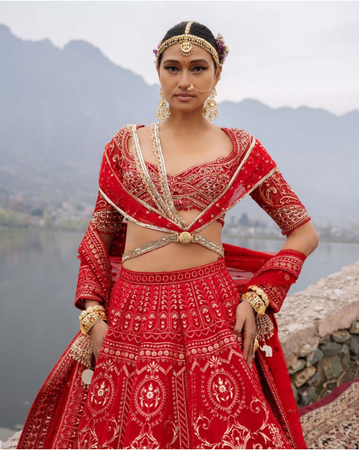 Ellison Red Lehenga Set Featuring Regal And Floral Motifs