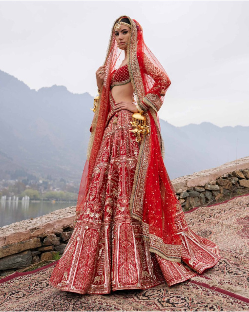 Elin Red Lehenga Set With Golden Chrome Applique