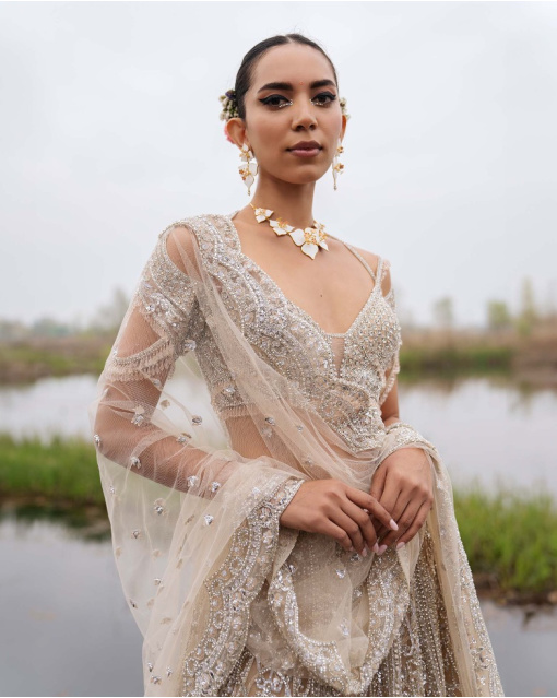 Esmerelda Beige-Based, Silver Lehenga Set With Crystals And Beads