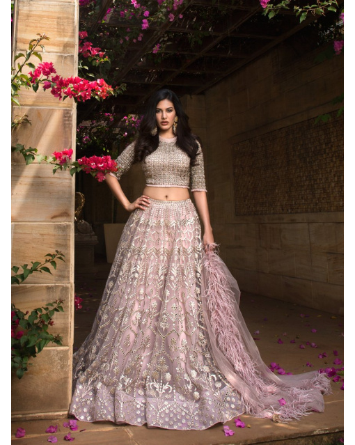 Amyra Embroidered Foil Work Lehenga Set