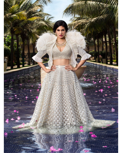 Amyra Embroidered Feather Work Lehenga Set