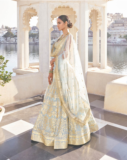 Havya Powder Blue-Based, Chrome Applique Georgette Lehenga Set