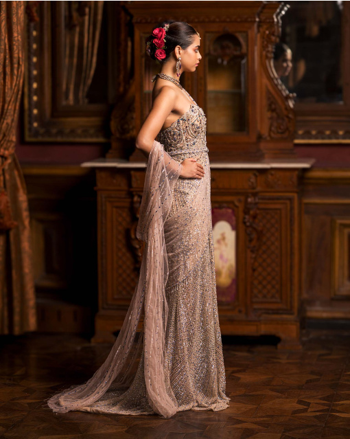 Fern Silver & Golden Fitted Designer Gown