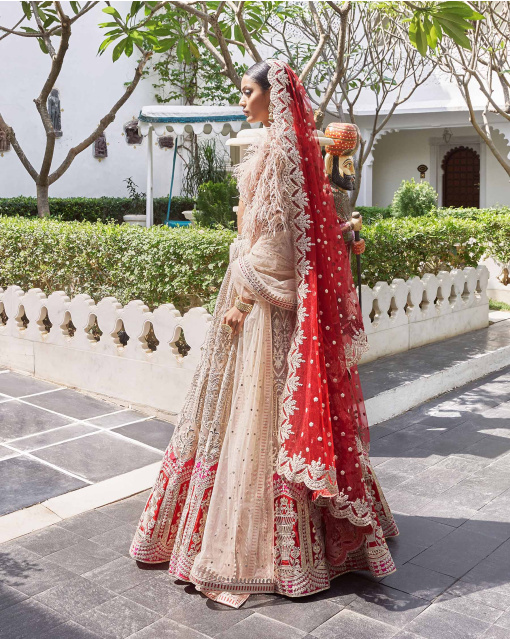 Kirti Beigeish Grey Tulle Lehenga Set With Pure Silk Red And Pink Border