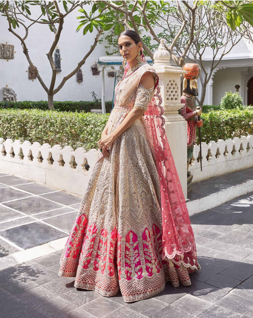 Kaveri Beigeish Grey Tulle Lehenga Set With Pure Silk Red And Pink Border