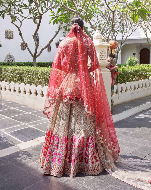 Kaveri Beigeish Grey Tulle Lehenga Set With Pure Silk Red And Pink Border