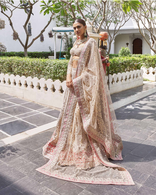 Kamal Beigeish Grey Tulle Lehenga Set With Pure Silk Red Border