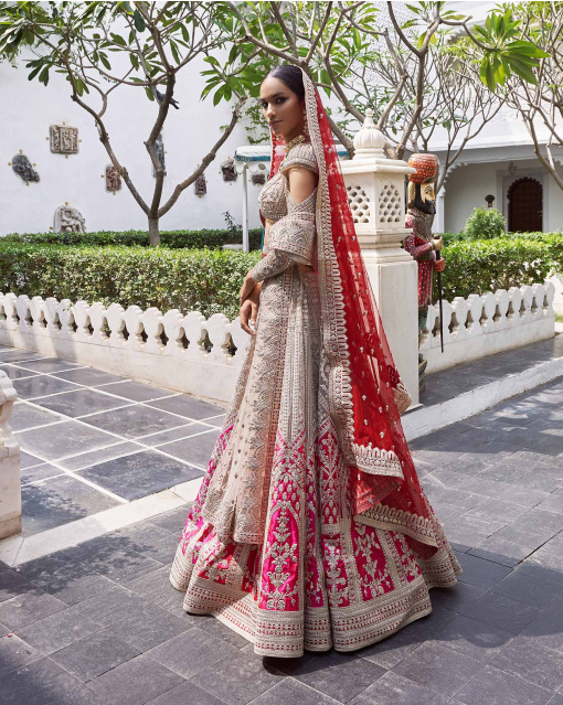 Kaira Beigeish Grey Tulle Lehenga Set With Pure Silk Pink Border