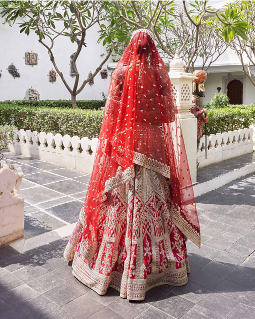 Kaira Beigeish Grey Tulle Lehenga Set With Pure Silk Pink Border