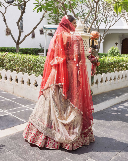 Jyot Beigeish Grey Tulle Lehenga Set With Pure Silk Red Border