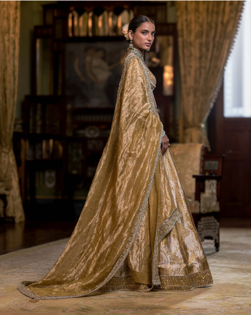 Eleanor Golden Banarasi Silk Lehenga Set With Animal Motifs