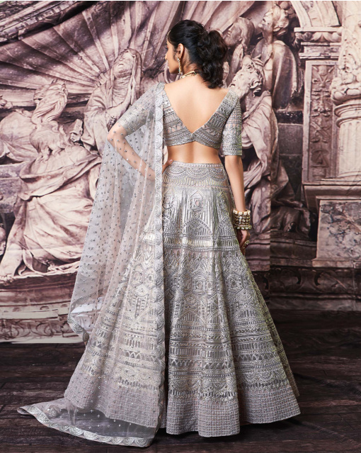 Erin Grey Tulle Lehenga Set With Golden Foil Work