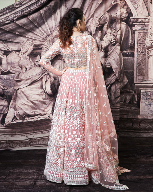 Jenna Blush Tulle Lehenga Set With Light Gold