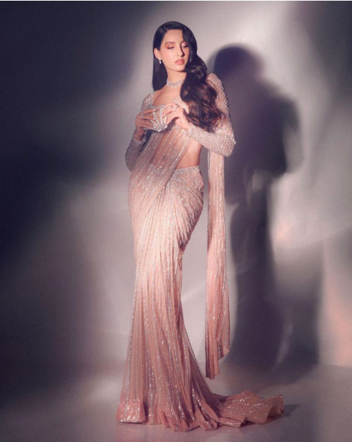 NORA FATEHI SAREE GOWN