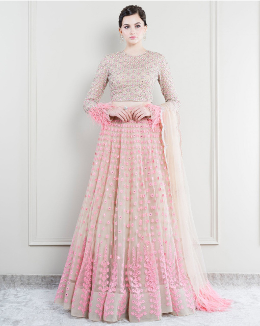 Romina Pink And Beige Lehenga