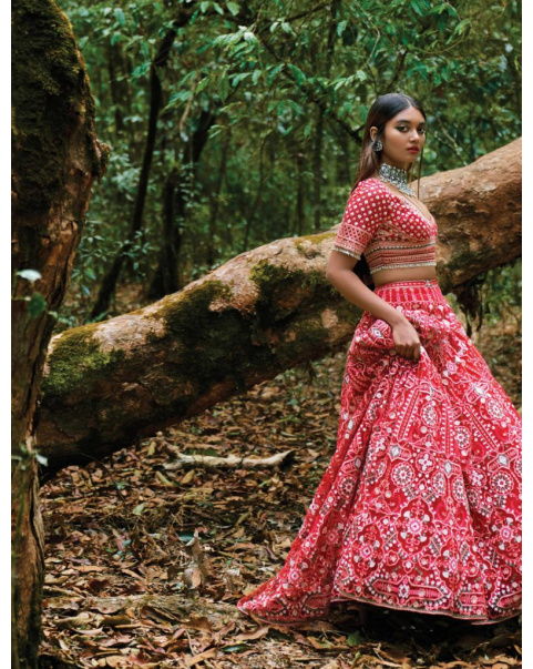 Red-based, pink Lehenga with a cropped blouse