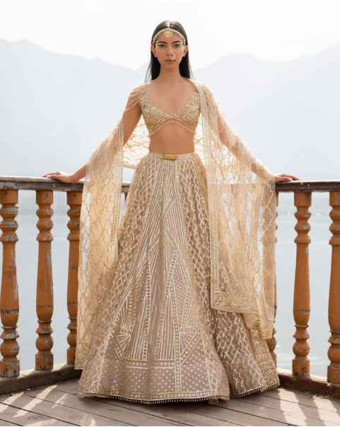 Ally Light Beige Lehenga Set With Geometric Motifs