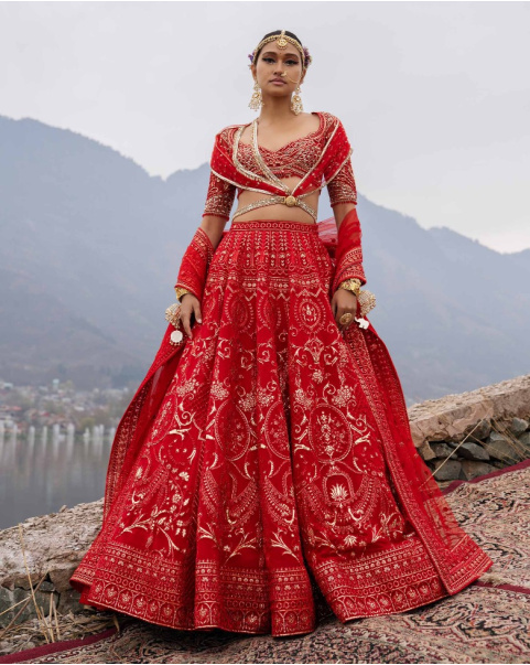 Ellison Red Lehenga Set Featuring Regal And Floral Motifs
