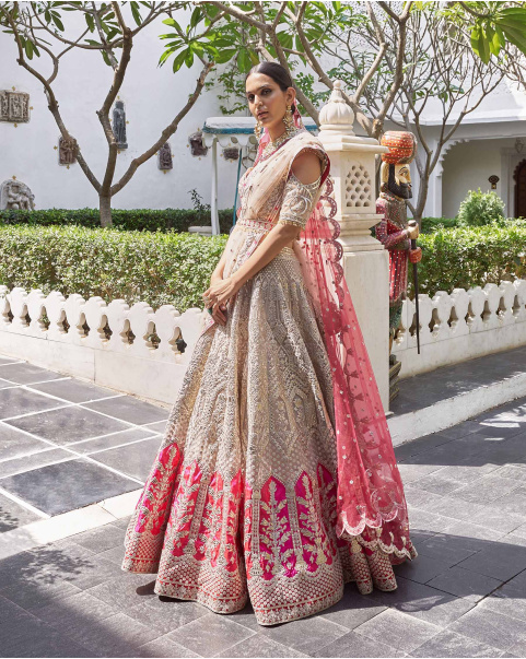 Kaveri Beigeish Grey Tulle Lehenga Set With Pure Silk Red And Pink Border