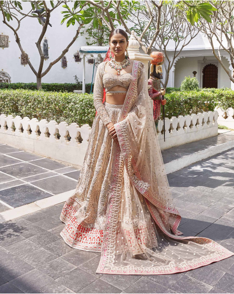 Kamal Beigeish Grey Tulle Lehenga Set With Pure Silk Red Border