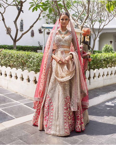 Kalika Beigeish Grey Tulle Lehenga Set With Pure Silk Red Border