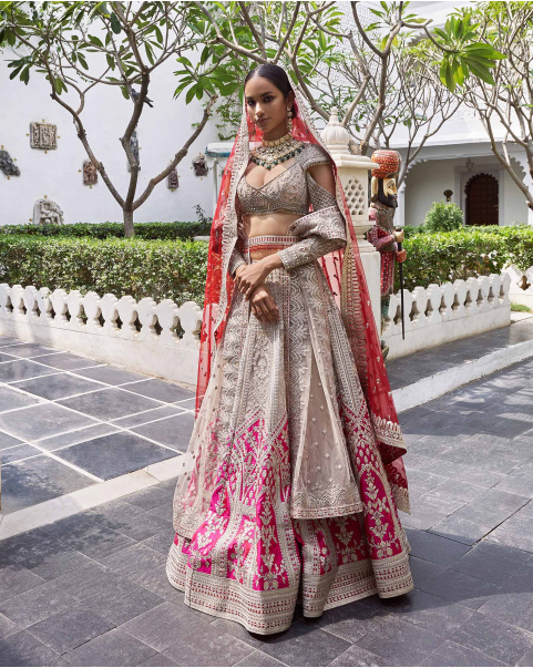 Kaira Beigeish Grey Tulle Lehenga Set With Pure Silk Pink Border